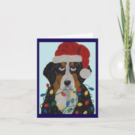 Berner Sennenhond Verward In Kerstverlichting
