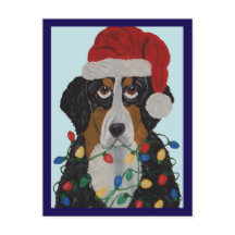 Berner Sennenhond Verward In Kerstverlichting