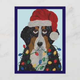 Berner Sennenhond Verward In Kerstverlichting Briefkaart