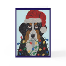 Berner Sennenhond Verward In Kerstverlichting