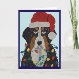 Berner Sennenhond Verward In Kerstverlichting Kaart