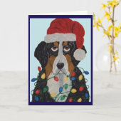 Berner Sennenhond Verward In Kerstverlichting Kaart (Gele Bloem)