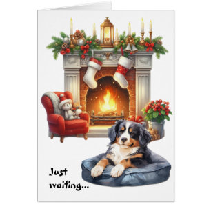 Berner Sennenhond wacht op Kerstmis