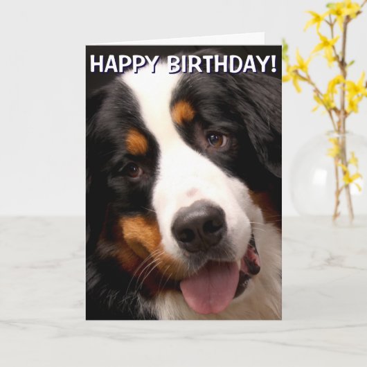 Berner Sennenhond wenskaart Kaart (Gele Bloem)