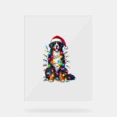 Berner Sennenhond x kerstverlichting Acryl Bord (Voorkant)