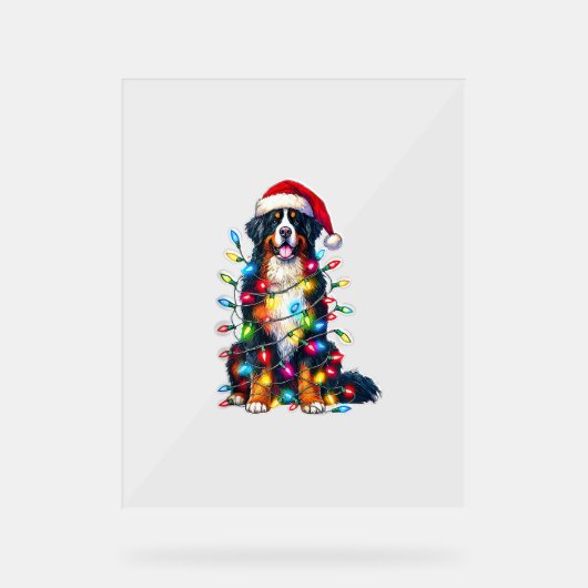 Berner Sennenhond x kerstverlichting Acryl Bord (Voorkant)