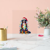 Berner Sennenhond x kerstverlichting Acryl Bord (Huwelijk)