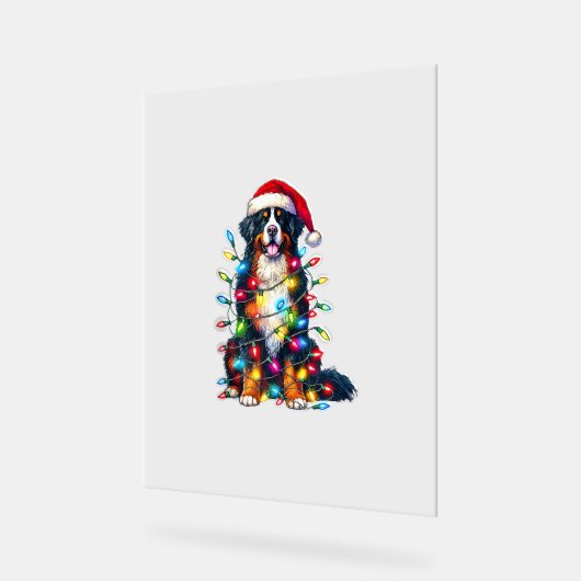 Berner Sennenhond x kerstverlichting Acryl Bord (Hoek)