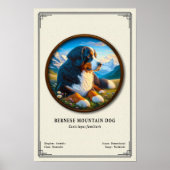 Berner Sennenhond Zoölogie Serie Poster (Voorkant)