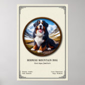 Berner Sennenhond Zoölogie Serie Poster (Voorkant)