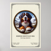 Berner Sennenhond Zoölogie Serie Poster (Voorkant)