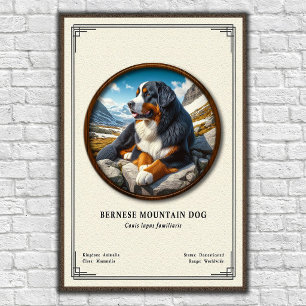 Berner Sennenhond Zoölogie Serie Poster