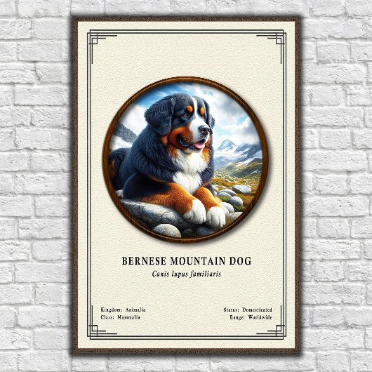 Berner Sennenhond Zoölogie Serie Poster