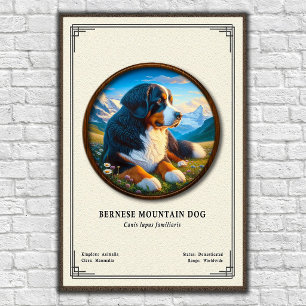 Berner Sennenhond Zoölogie Serie Poster