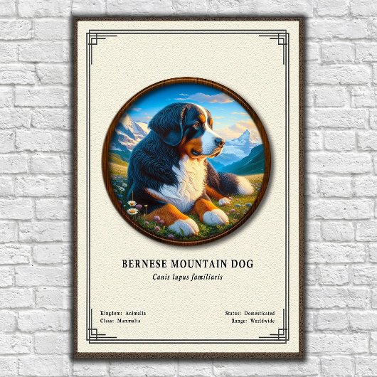 Berner Sennenhond Zoölogie Serie Poster