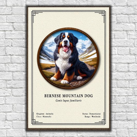 Berner Sennenhond Zoölogie Serie Poster