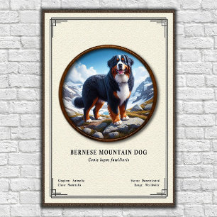 Berner Sennenhond Zoölogie Serie Poster