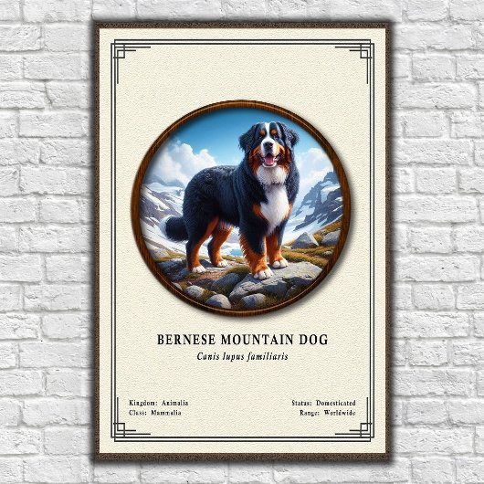 Berner Sennenhond Zoölogie Serie Poster