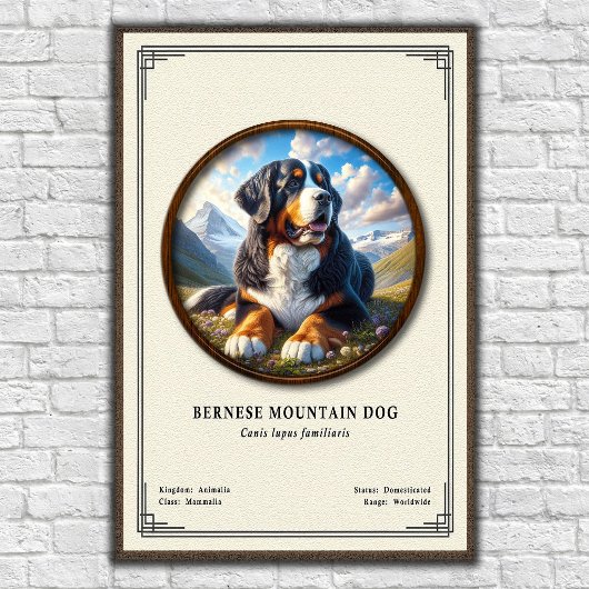 Berner Sennenhond Zoölogie Serie Poster