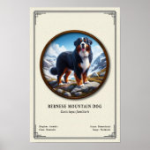 Berner Sennenhond Zoölogie Serie Poster (Voorkant)