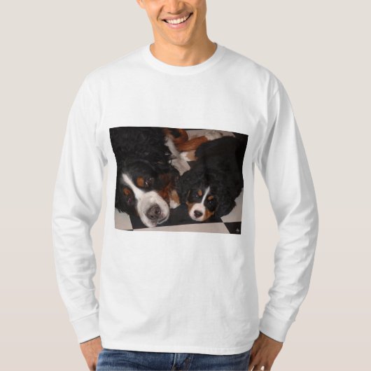 Berner Sennenhonden gaan naar het hoofd Mannen T_S T-shirt (Voorkant)