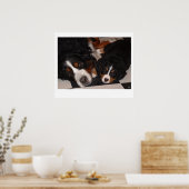 Berner Sennenhonden gaan naar het Poster (Keuken)