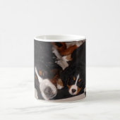 Berner Sennenhonden gaan naar hoofd MOK (Center)