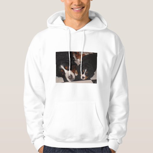 Berner Sennenhonden Head to Head Mannen Hoodie (Voorkant)
