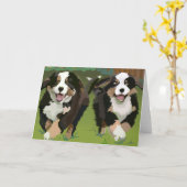 Berner Sennenhonden notecards Kaart (Gele Bloem)
