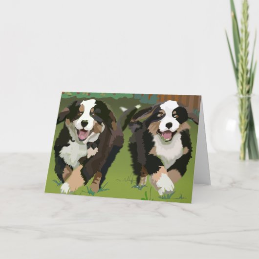 Berner Sennenhonden notecards Kaart (Voorkant)