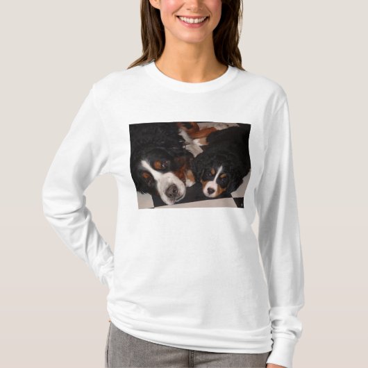Berner Sennenhonden op kop T_Shirt T-shirt (Voorkant)