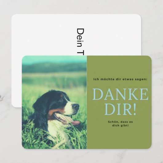 Berner Sennenhund Bedankkaart (Voorkant / Achterkant)