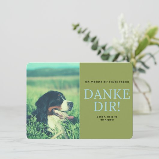 Berner Sennenhund Bedankkaart (Staand voorkant)