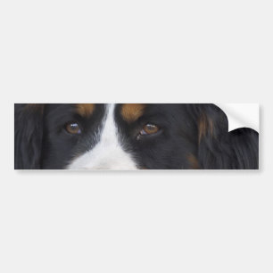 Berner Sennenhund Bumpersticker