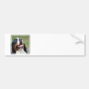 Berner Sennenhund Dog Bumpersticker