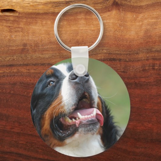 Berner Sennenhund Dog Sleutelhanger (Voorkant)