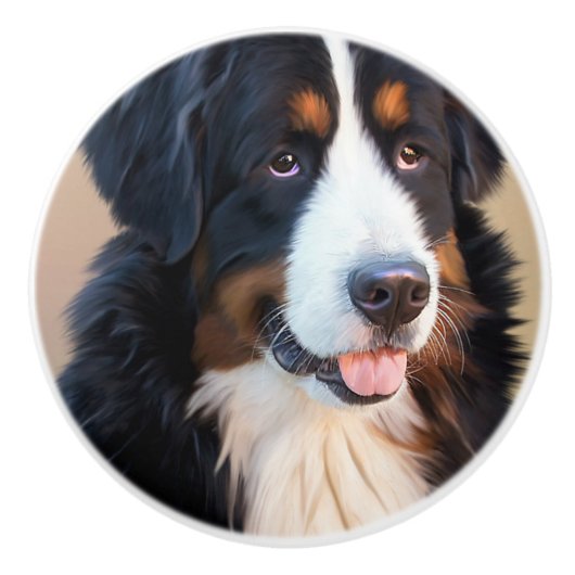 Berner Sennenhund Keramische Knop (Voorkant)