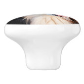 Berner Sennenhund Keramische Knop (Zijkant)