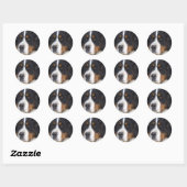 Berner Sennenhund Sticker (Vel)