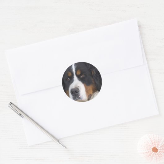 Berner Sennenhund Sticker (Envelop)