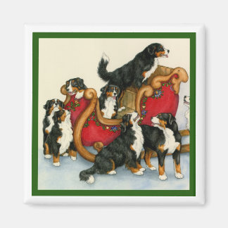 Berners in Sleigh Magneet