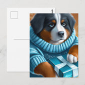 Berners Sennenhond Met Blauwe Ogen Met Cadeautje Briefkaart (Voorkant / Achterkant)