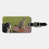 Bernersennenhond met kat bagagelabel (Voorkant horizontaal)