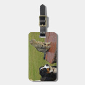 Bernersennenhond met kat bagagelabel (Voorkant verticaal)