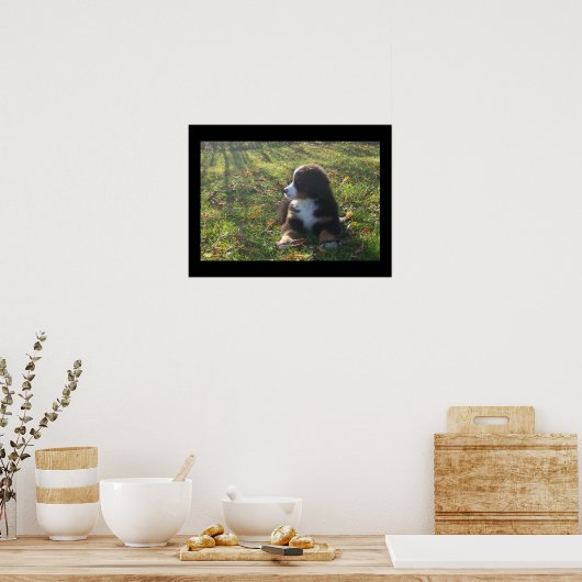 Bernese Autumn Leaves Poster (Keuken)