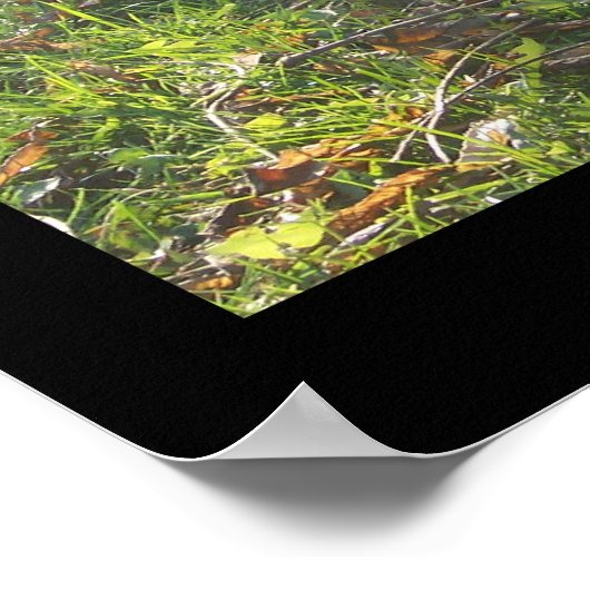 Bernese Autumn Leaves Poster (Hoek)