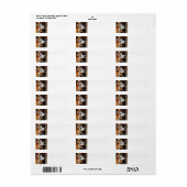 bernese-berg-hond-bedelen.png etiket (Full Sheet)