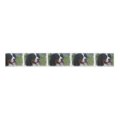 bernese-bergenhond-7 grosgrain lint (Voorkant)