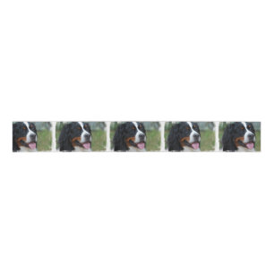 bernese-bergenhond-7 grosgrain lint
