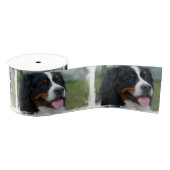 bernese-bergenhond-7 grosgrain lint (Spoel)